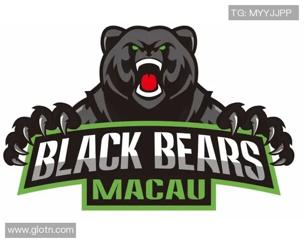 澳门黑熊vs战狼